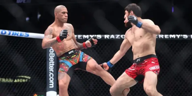 UFC 320: Перейра разнес Анкалаева в первом раунде