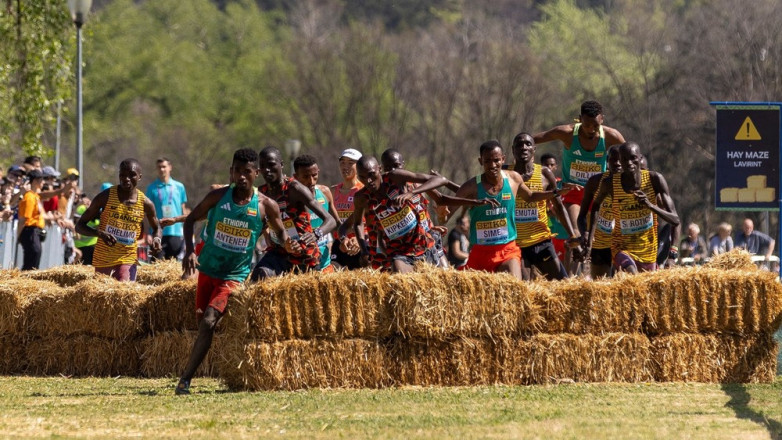 Кыргызстанцы выступят на чемпионате Азии по кроссу в Японии