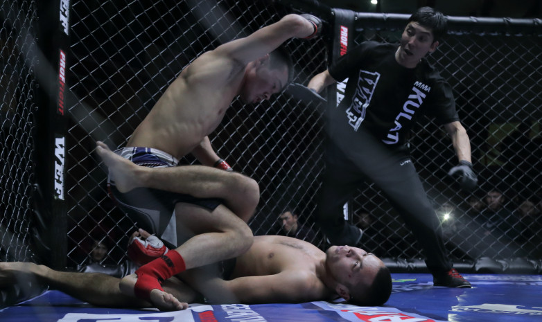 Очередной турнир WEF PROFFIGHT пройдет в Санкт-Петербурге