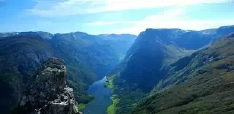 Черновик
