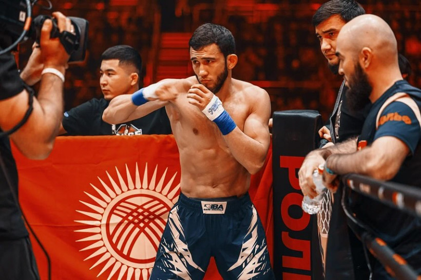 Прямая трансляция всех боев турнира IBA Bare Knuckle 3