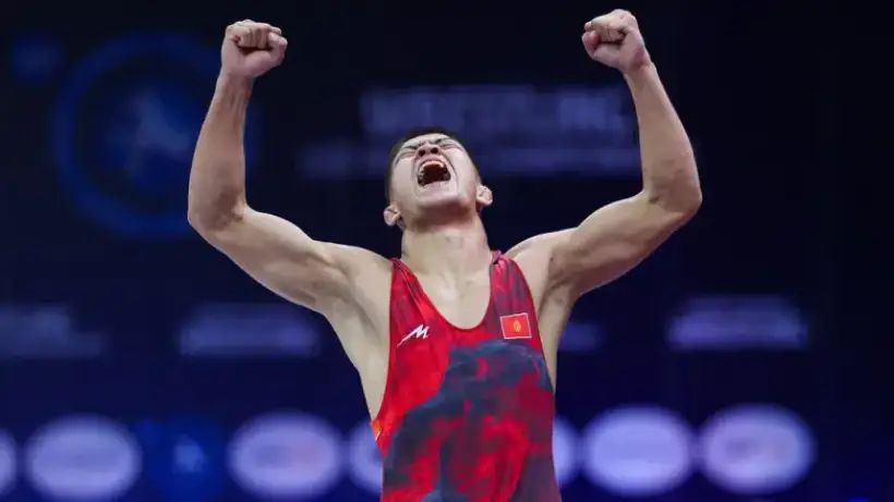 Прямая трансляция всех схваток турнира PWL Junior