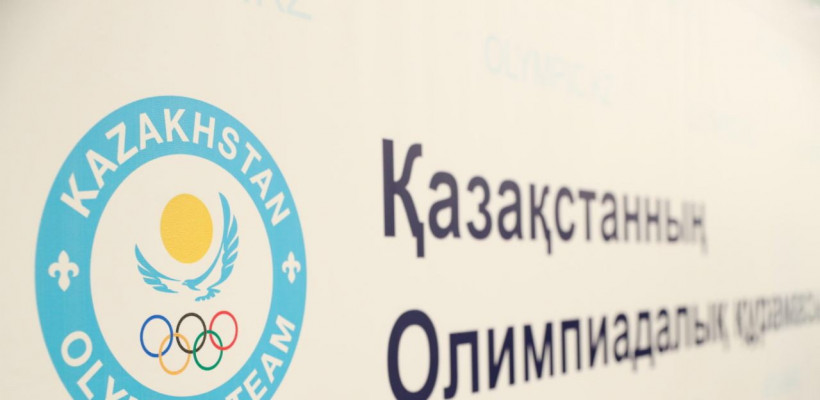 Итоги «олимпийского» года